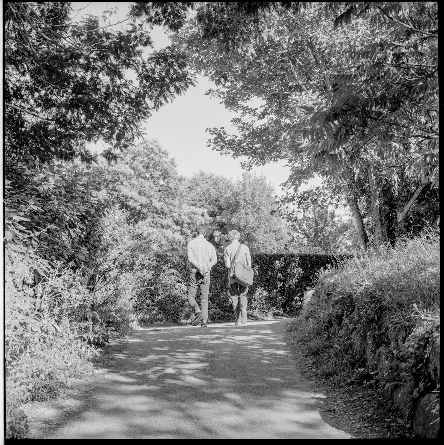Image description