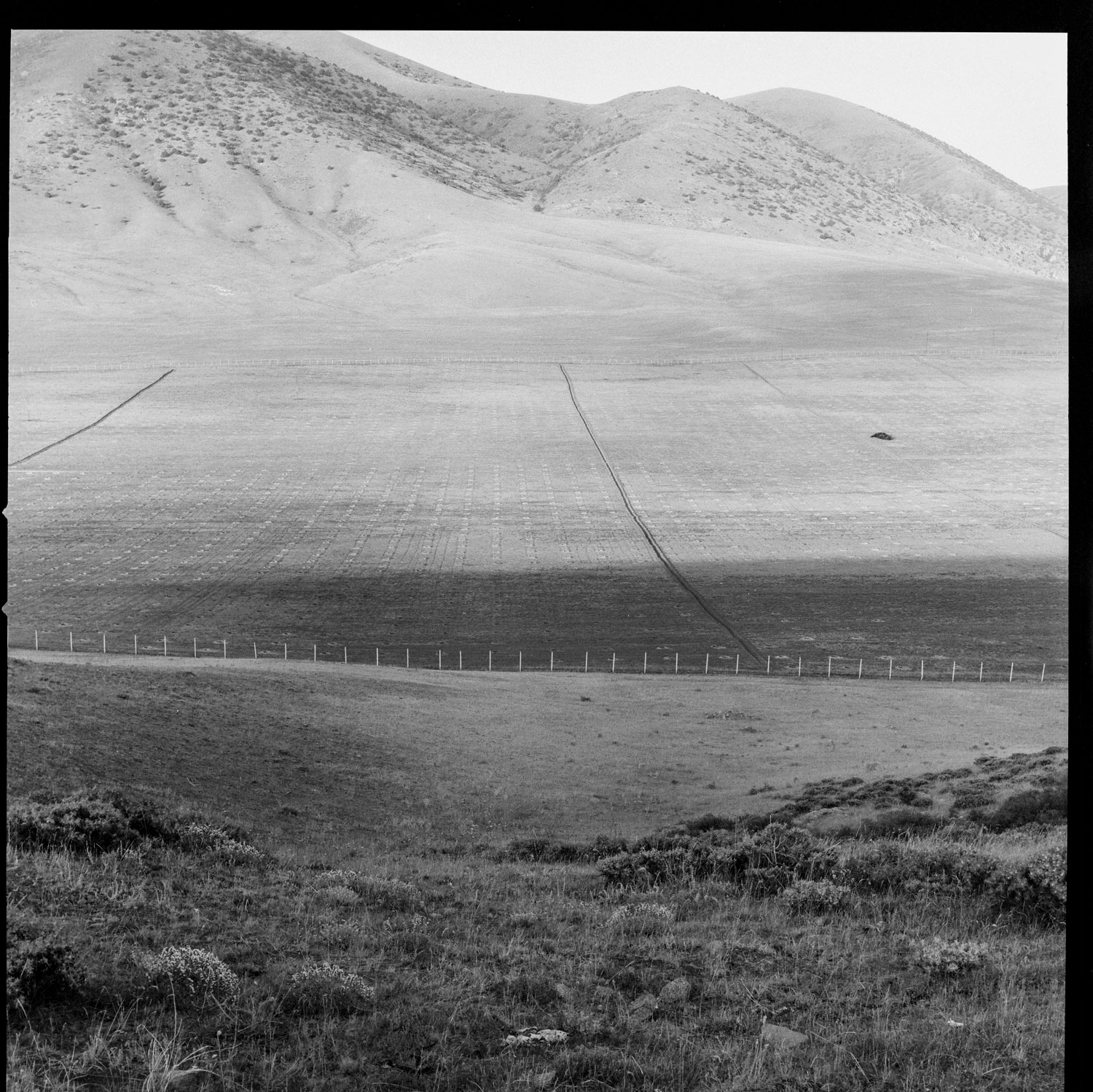 Image description