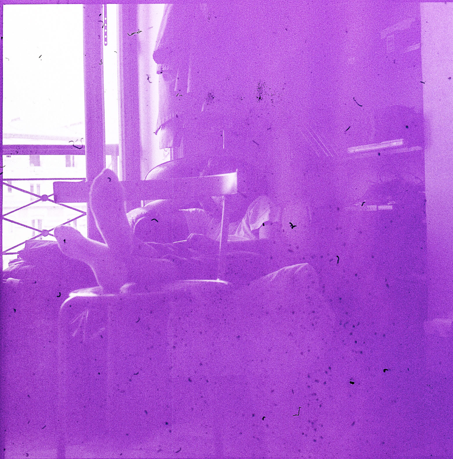 Image description